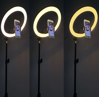 Mega Ring - 25W combo